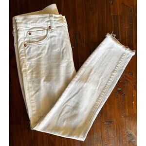 Gap True Skinny Woman Stripes White and Blue Denim Size 27